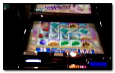 €85 Daily freeroll slot tournament at Casino Las Vegas