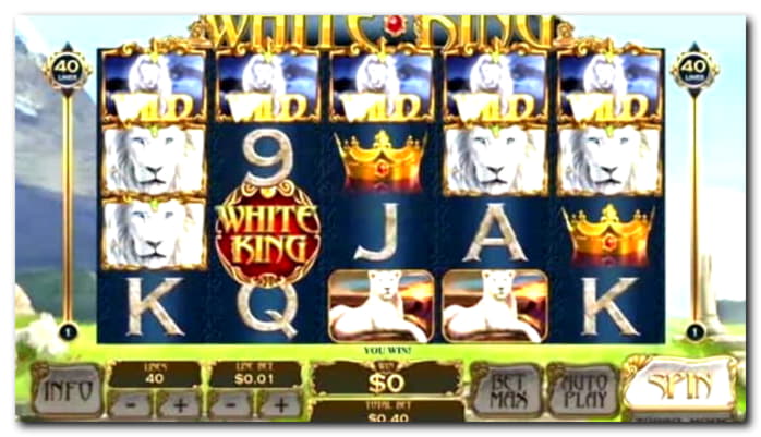 £510 Free Casino Tournament at Dafa Bet Casino