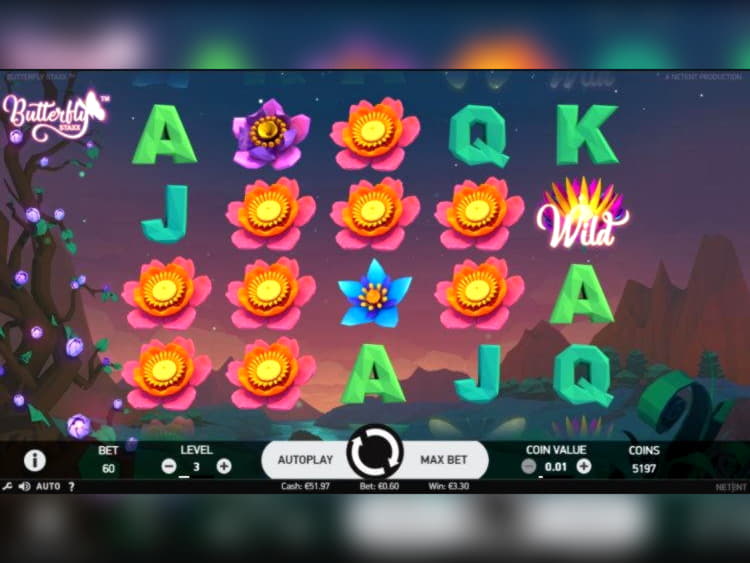 205% First deposit bonus at No Bonus Casino