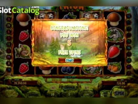 715% Casino Welcome Bonus at Dafa Bet Casino