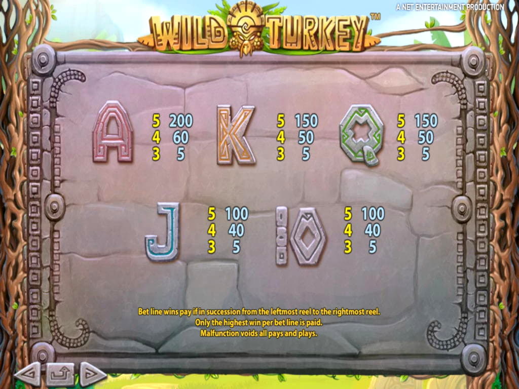 205 free spins no deposit casino at Casino Share