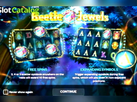 EUR 330 Free Casino Ticket at Miamidice Casino