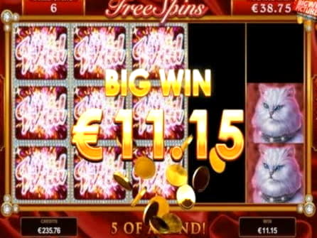 ﻿$870 No Deposit Bonus Casino at Mega Casino
