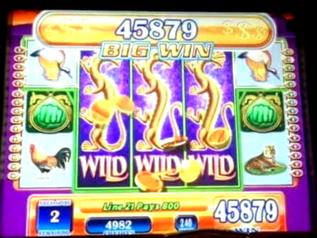 €20 Casino Tournament at Superior Casino