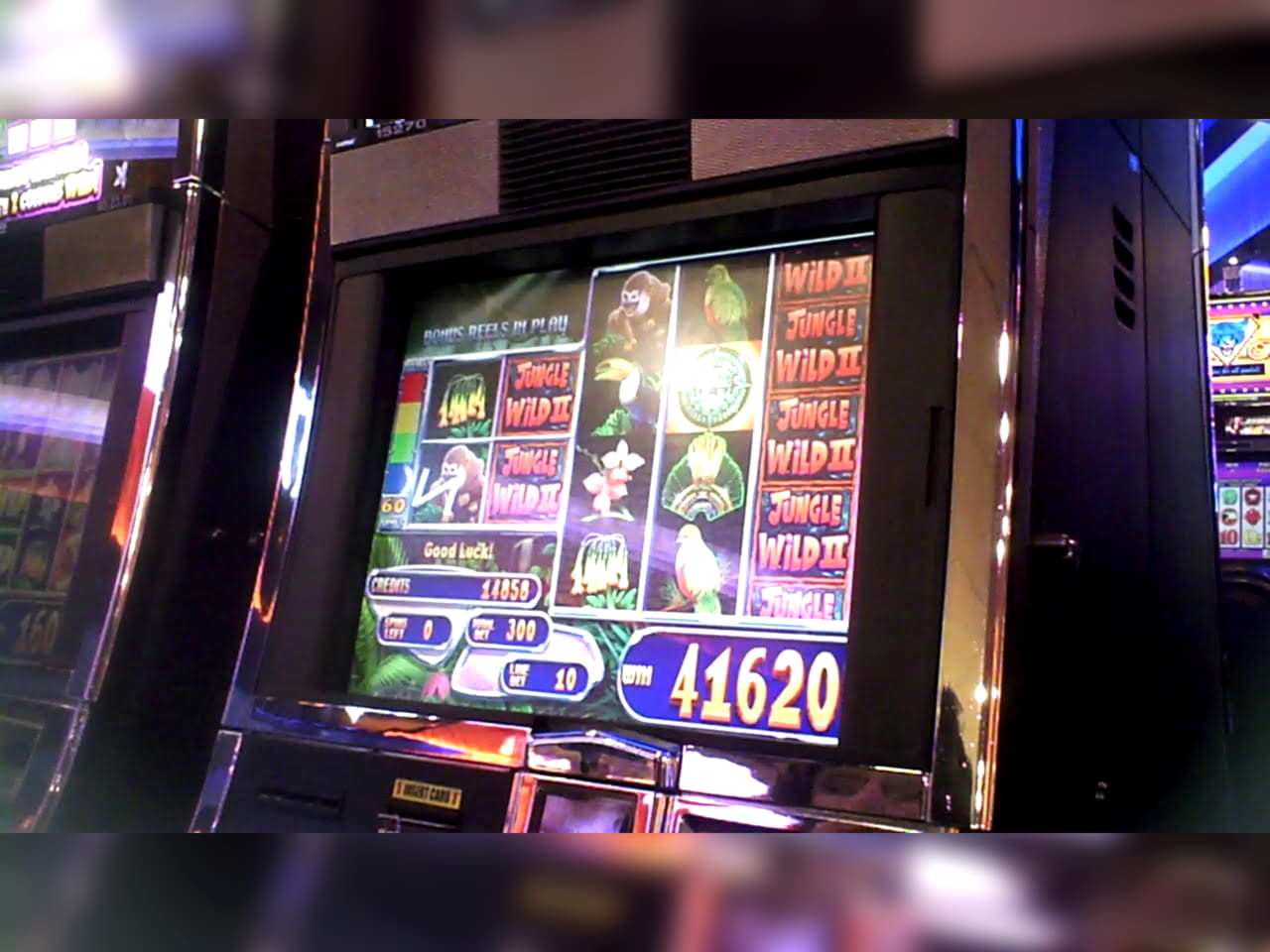 995% First Deposit Bonus at Mobile Bet Casino
