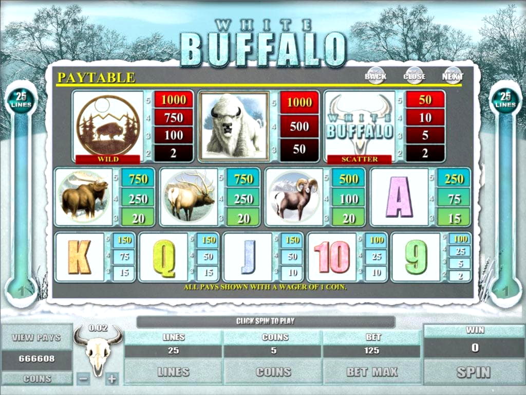 €666 Casino Tournament at Miamidice Casino