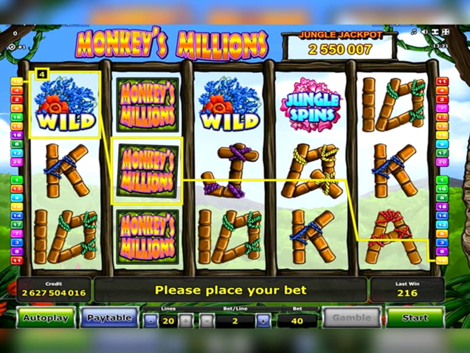 855% No Rules Bonus! at Red Stag Casino