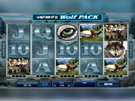 $645 free chip casino at Casino Cruise
