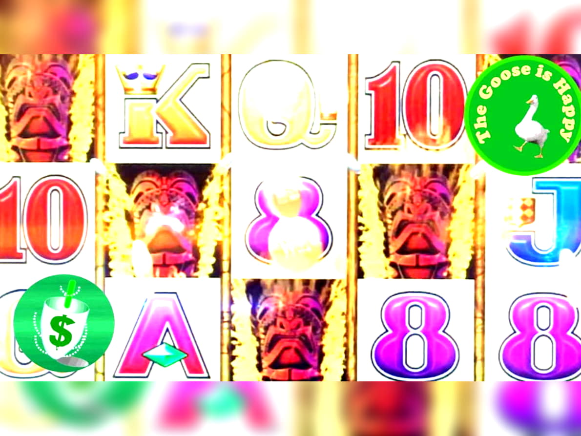 $830 No deposit at Dafa Bet Casino