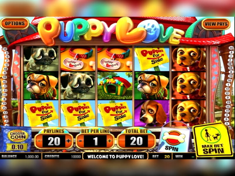 855% Signup Casino Bonus at Superior Casino