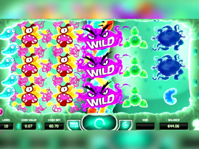 225 Free casino spins at Royal Panda Casino