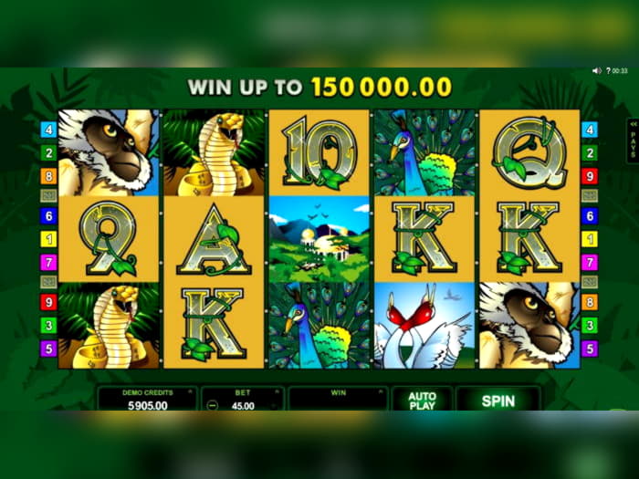 Eur 895 No deposit bonus code at Dubai Casino Online