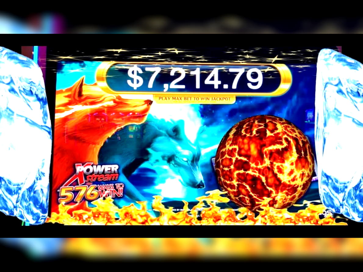 255 free spins casino at Estonia Casino 