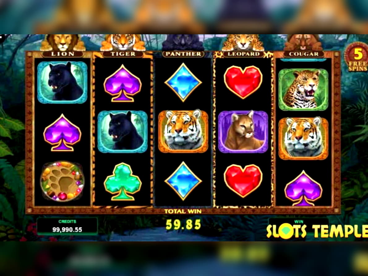 EURO 575 FREE Chip Casino at Red Bet Casino