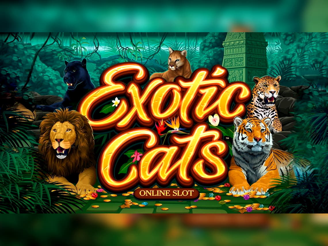€995 Daily freeroll slot tournament at Zet Casino