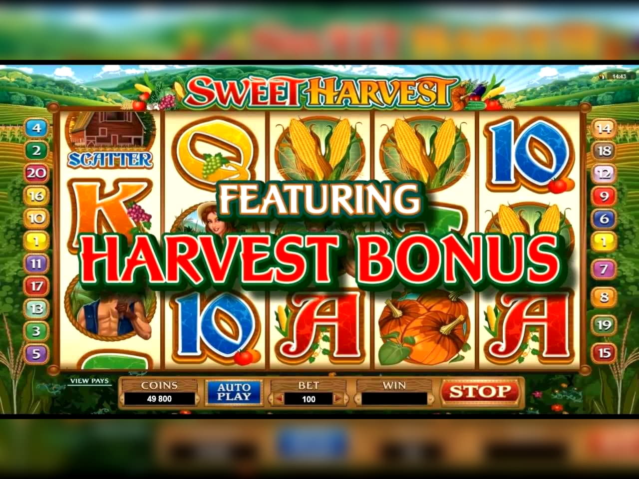 385% Match bonus at Dubai Casino Online