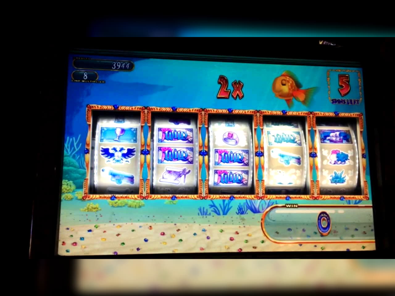 £835 Daily freeroll slot tournament at Red Stag Casino