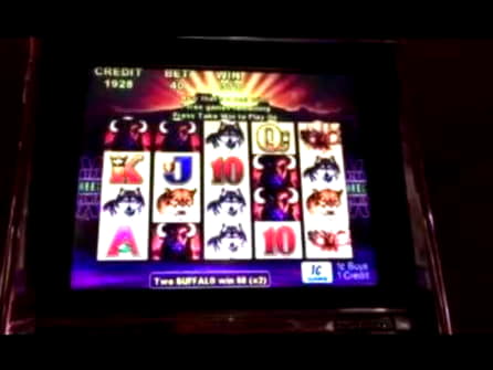 495% casino match bonus at Power Spins Casino