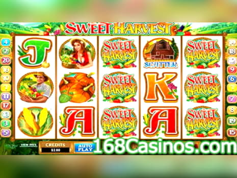 EURO 155 Daily freeroll slot tournament at Mega Casino