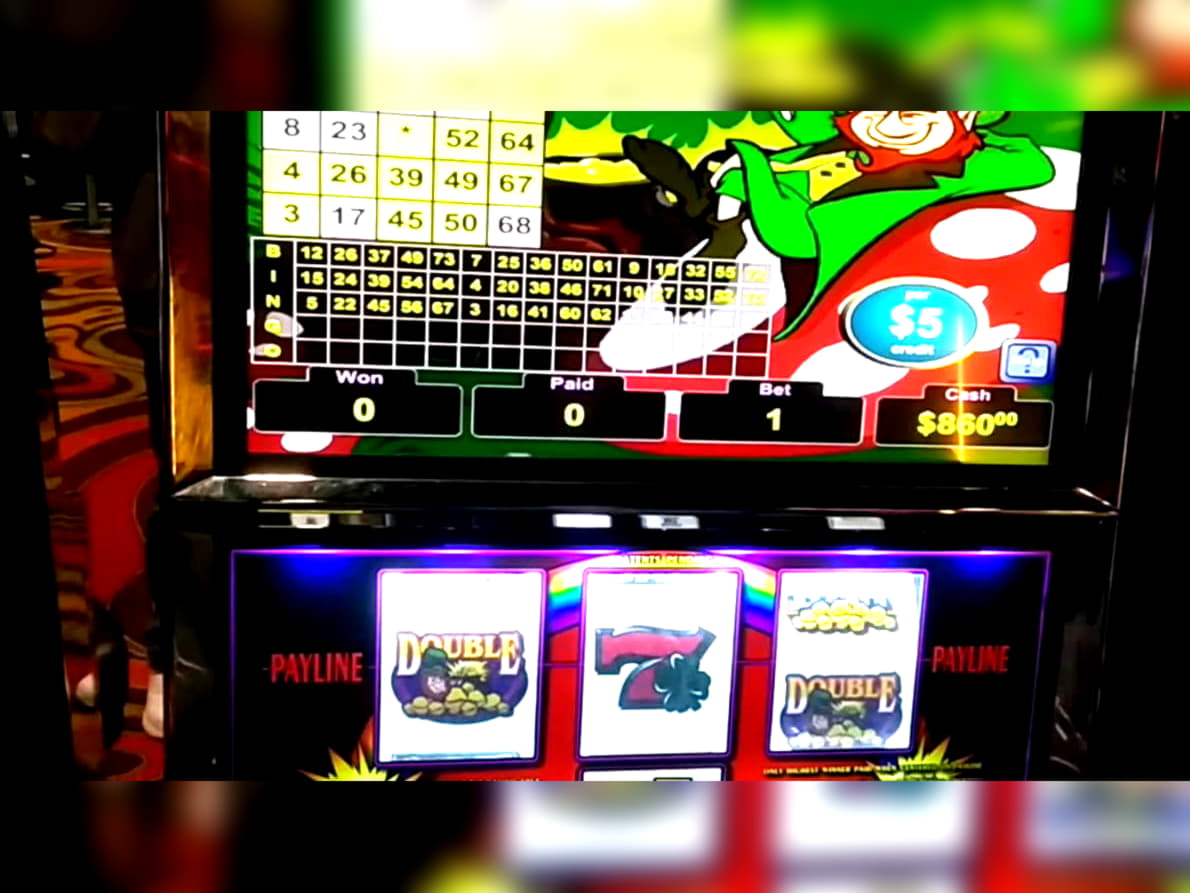 €515 No deposit casino bonus at BranGo Casino