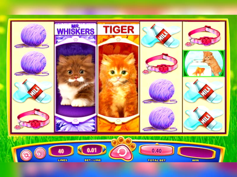 ﻿$3730 No Deposit Bonus at BranGo Casino