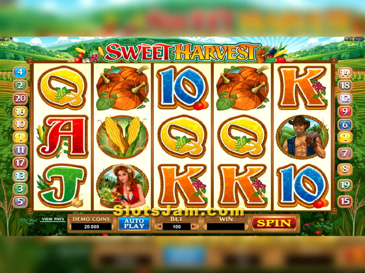 ﻿$640 Tournament at Zet Casino