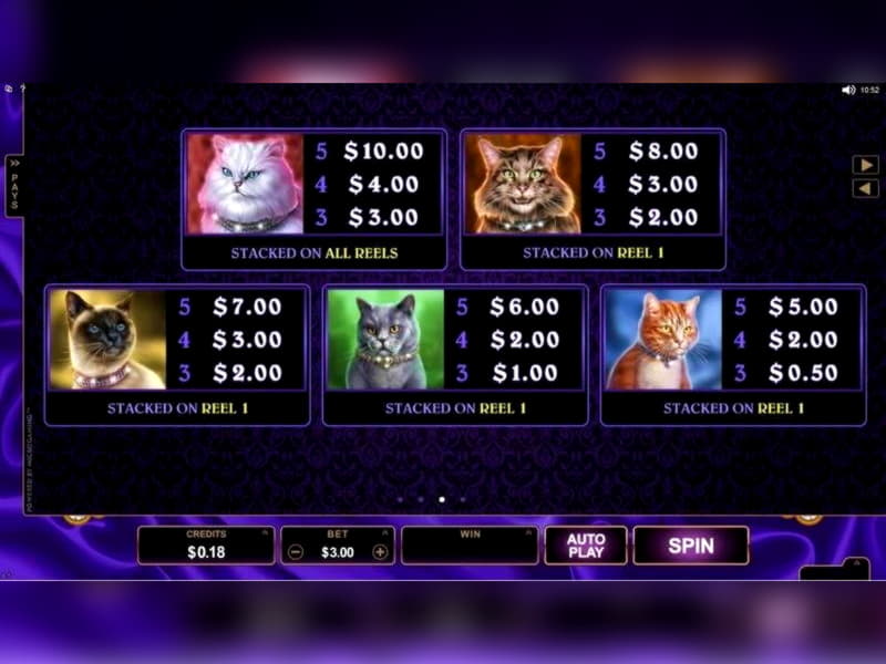 15 Free casino spins at Casino Cruise