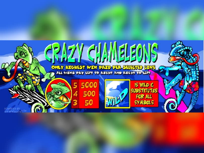 EUR 475 casino chip at Challenge Casino