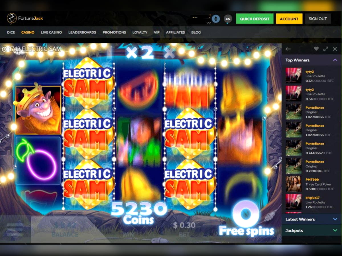 $365 casino chip at Estonia Casino 