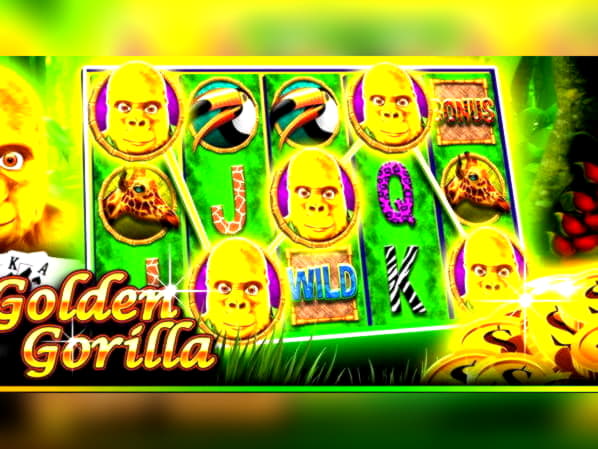 £575 Daily freeroll slot tournament at bWin Casino