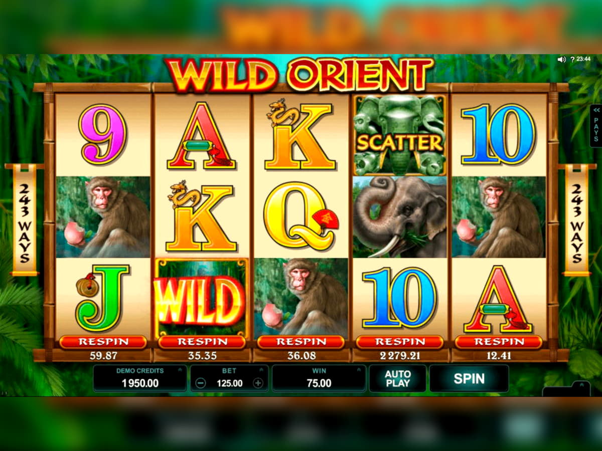 EUR 220 Free Money at Casino Cruise