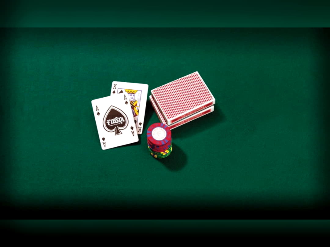 110% Match Bonus Casino at No Bonus Casino