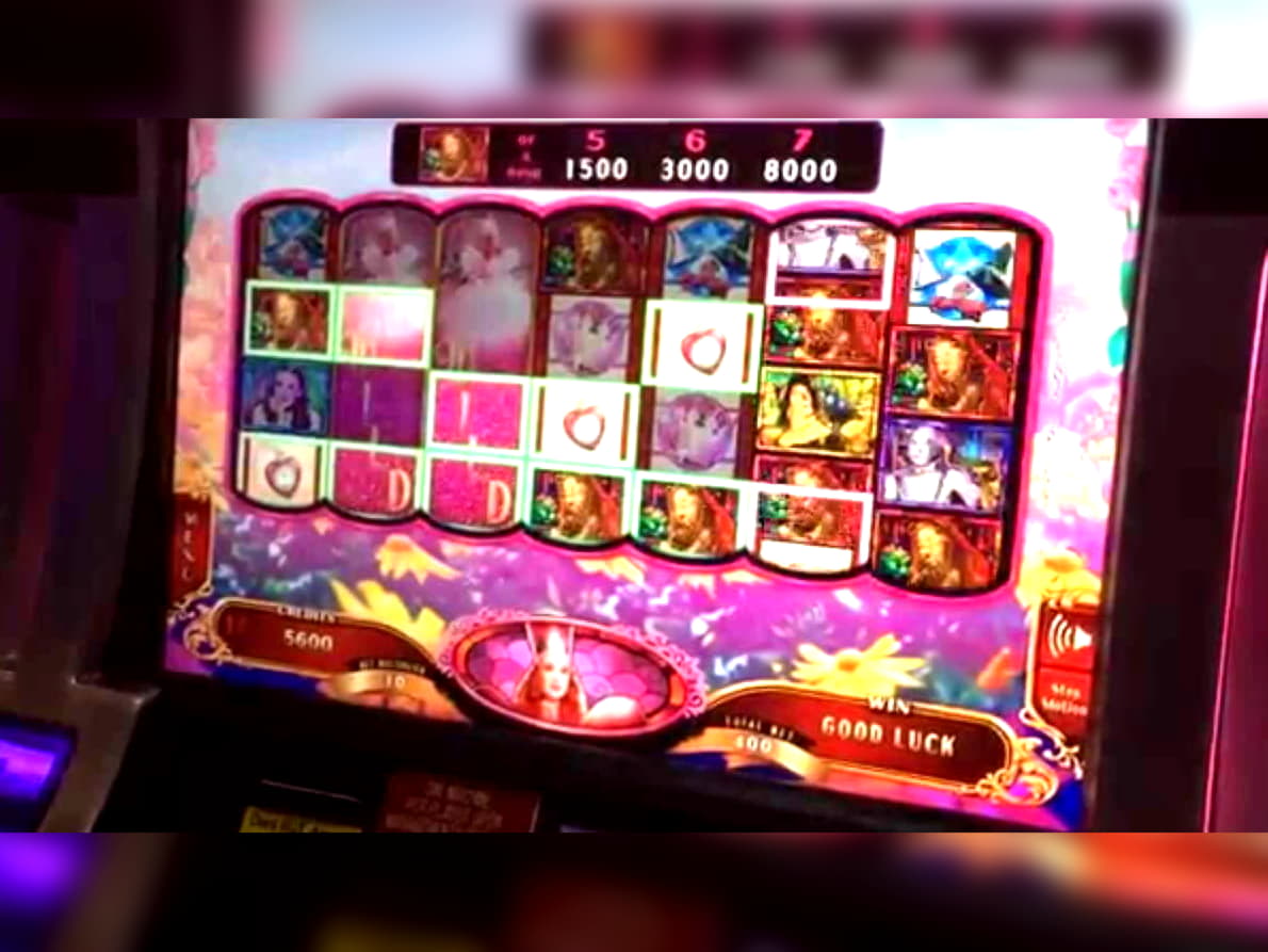 685% Welcome Bonus at Mega Casino