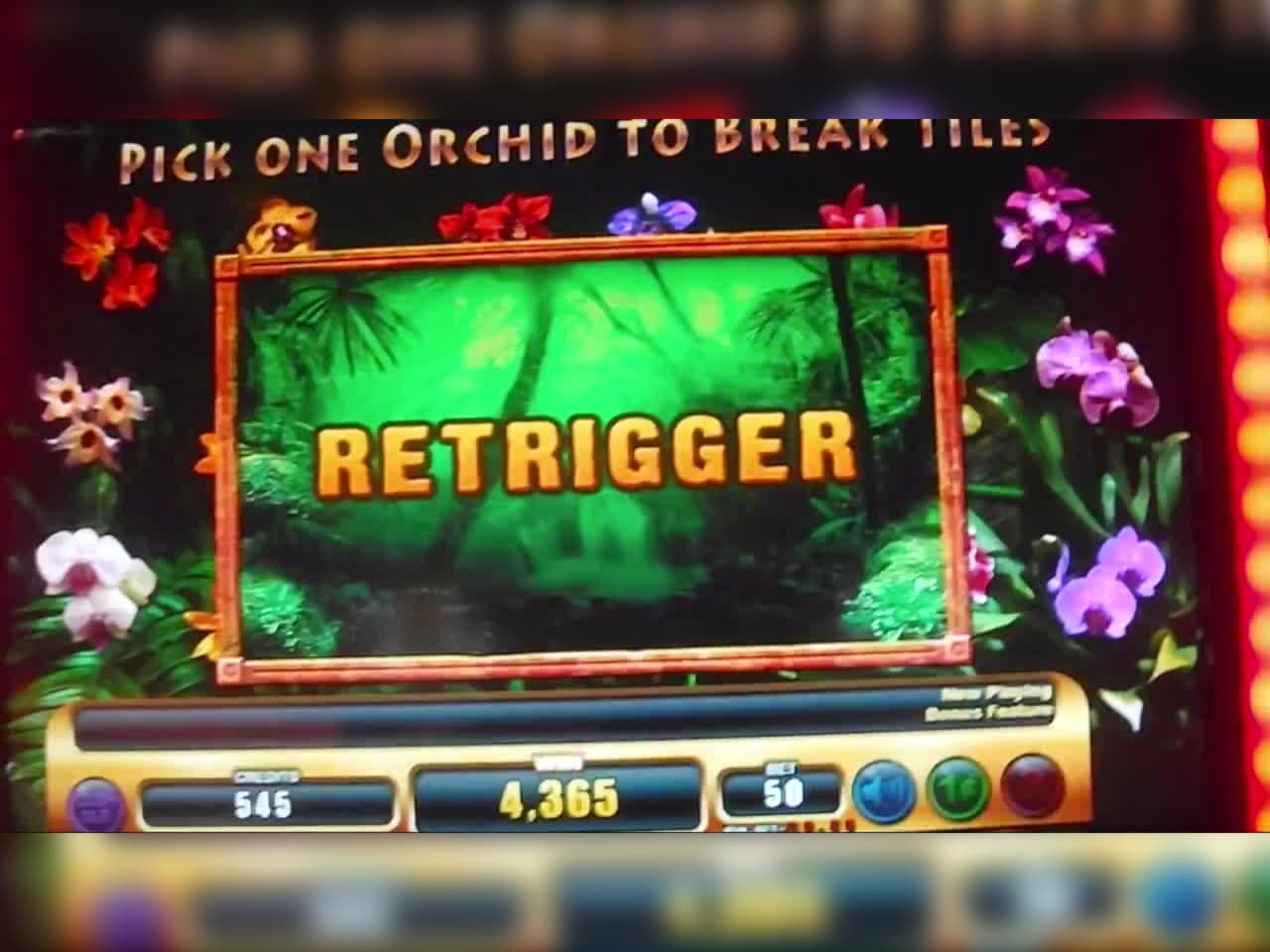 465% Casino match bonus at BranGo Casino