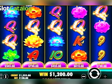 EURO 1010 No Deposit at Villento Casino