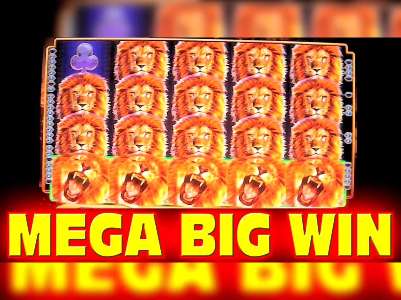 EURO 535 Casino Tournament at Casino com