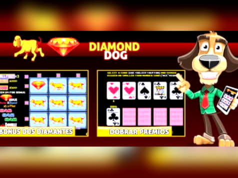 265 free spins casino at Miamidice Casino