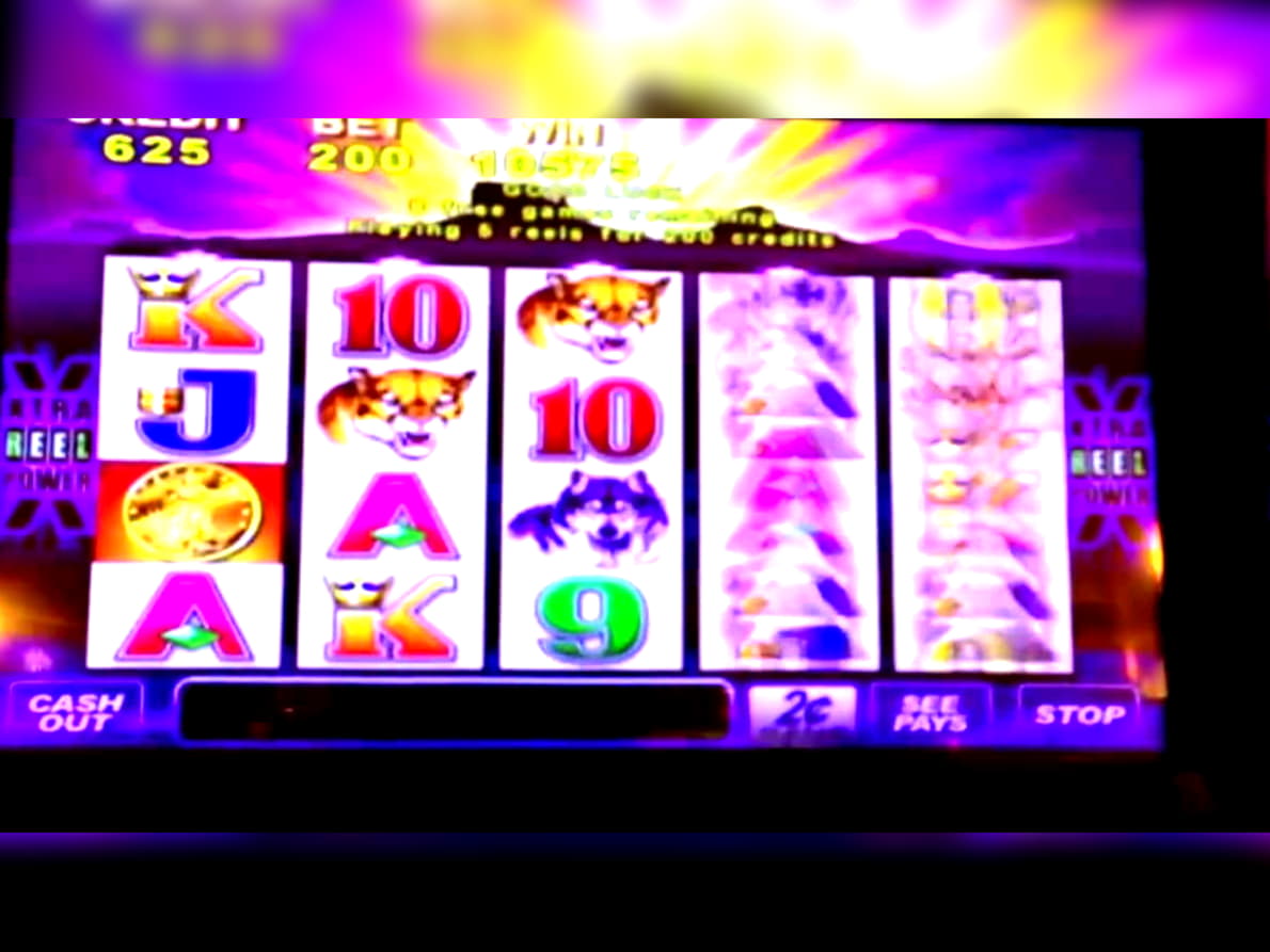 $255 Casino Tournament at Casino Cruise