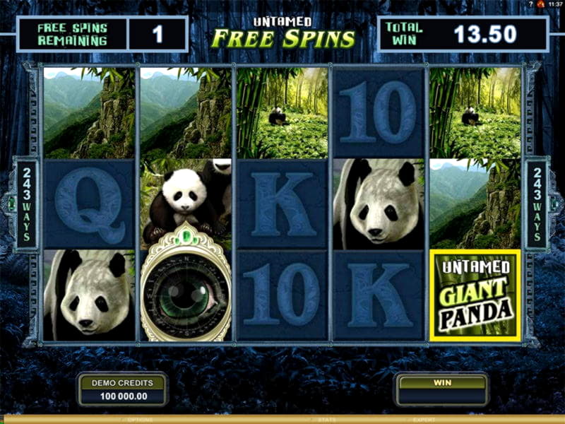 915% Welcome Bonus at Dubai Casino Online