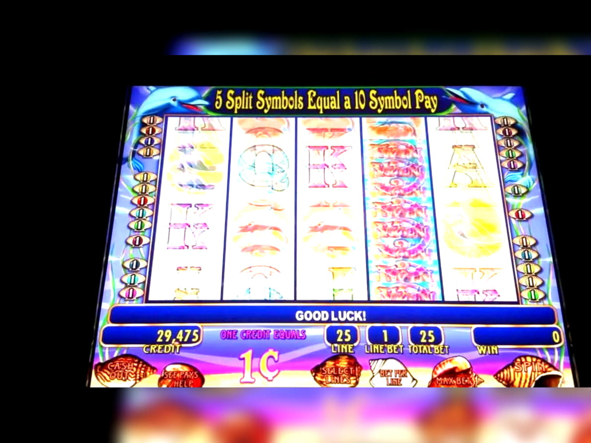 $1675 No deposit bonus at Miamidice Casino