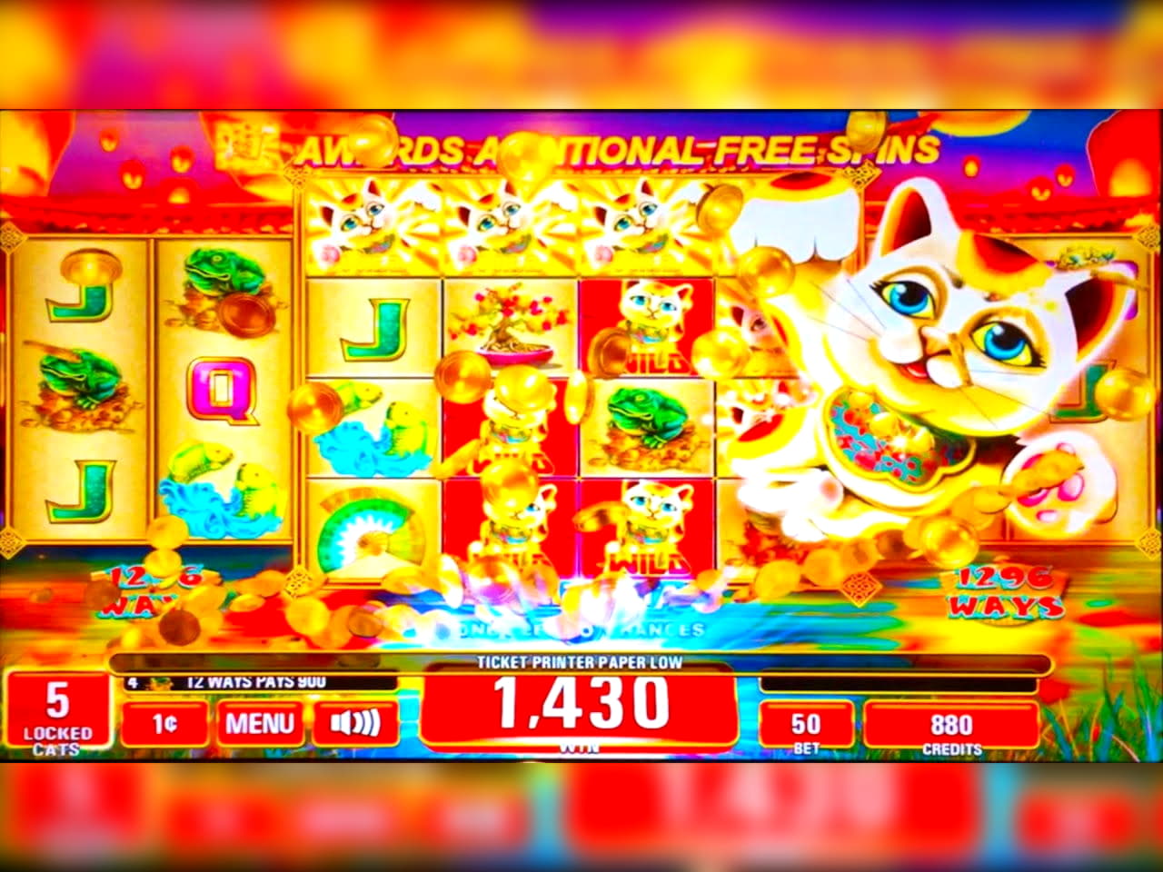 EURO 990 Casino tournaments freeroll at Casino Action