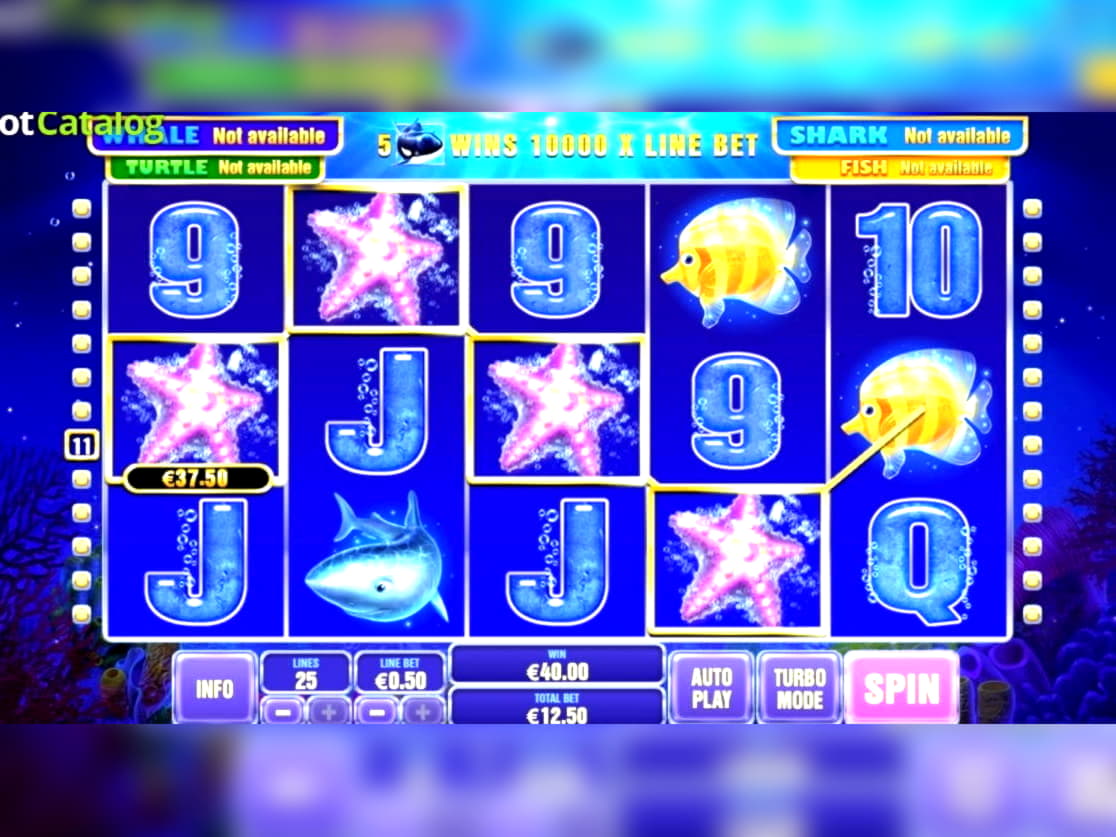 €255 free chip at Miamidice Casino