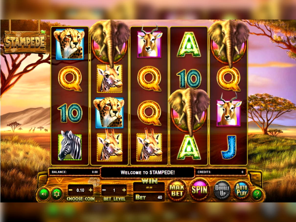 20 Free Spins Casino at Casino Las Vegas