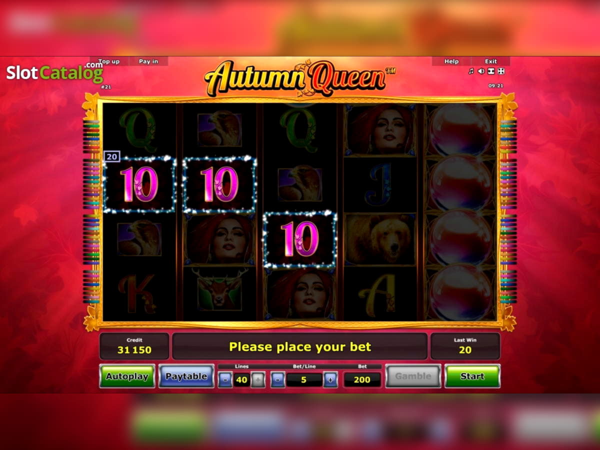 695% Signup casino bonus at Zet Casino