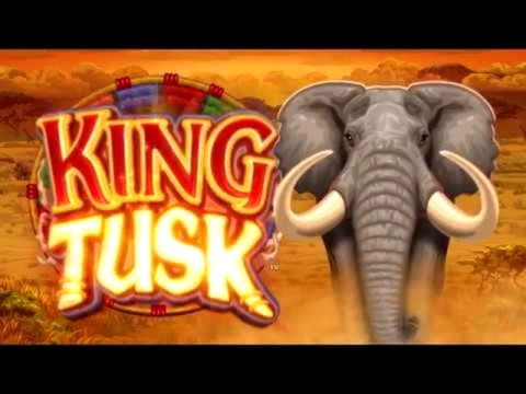 $310 Casino Tournament at Casino Share