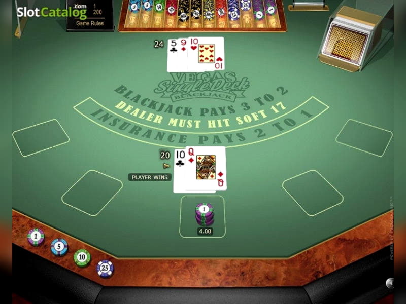 265 Free Casino Spins at Casino Cruise