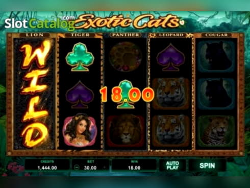 Eur 3470 NO DEPOSIT at Royal Panda Casino