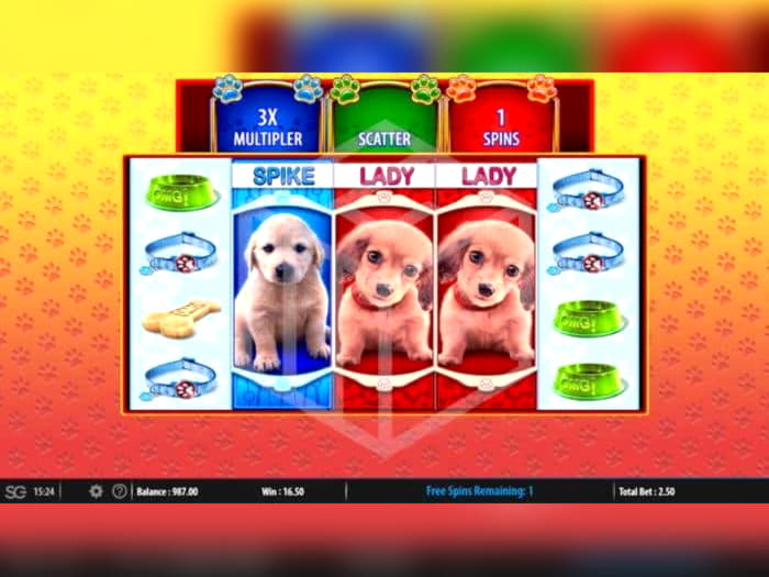 250 Free casino spins at Dafa Bet Casino