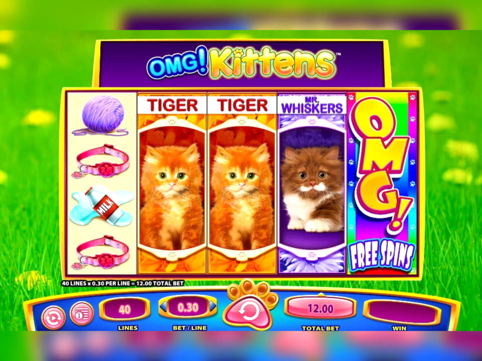 710% First deposit bonus at Finland Casino 