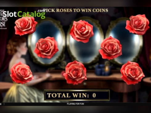 £295 Casino Tournament at Zet Casino